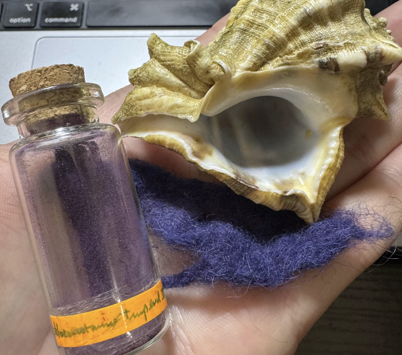 tyrian purple tyrian purple