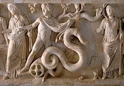 triptolemus triptolemus